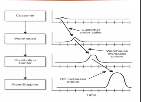 <p>the bullwhip effect </p>