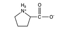 <p>non-polar aliphatic</p>