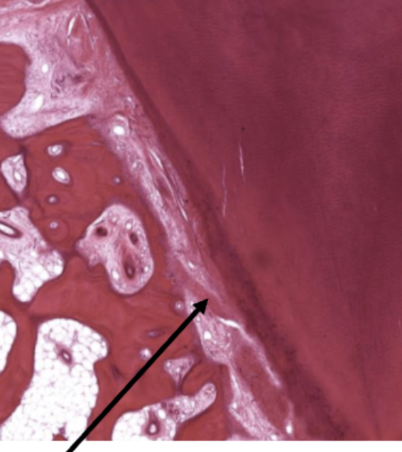 <p>ID the fibers</p>