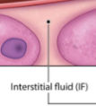 <p>Between cells within a tissue. Part of the extracellular matrix.</p>