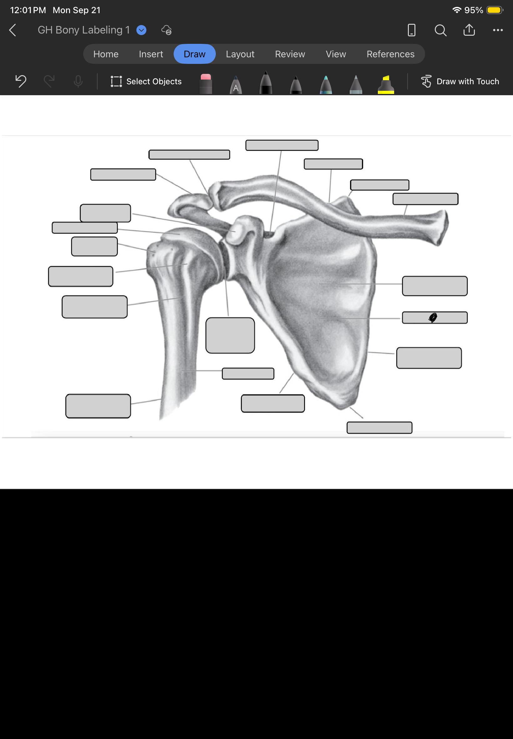 term image