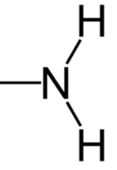 <ul><li><p>Acts as a base</p></li><li><p>Found primarily in protein</p></li></ul><p></p>