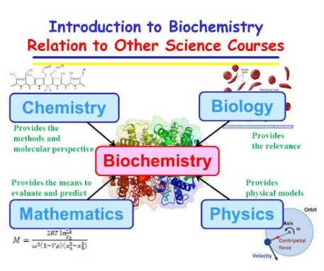 <p>In the "Relation to Other Science Courses" diagram, what does Biology provide to Biochemistry?</p>
