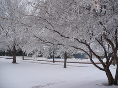 <p>el invierno</p>