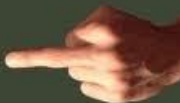 <p>un majeur</p>