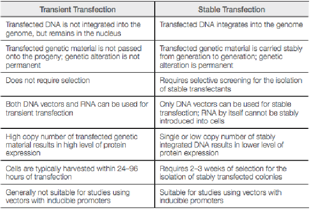 <p>transient: not integrated in genome but remains in nucleus, not passed onto progeny/genetic alteration is not permanent, does not require selection, high copy number of material results in high level of protein expression, generally not suitable for studies using inducible vectors</p><ul><li><p>both DNA/RNA vectors can be used</p></li><li><p>harvested 24-96 hrs after transfection</p></li></ul><p>stable:integrated into genome carried stably from gen. to gen./genetic alteration is permanent, requires selective screening for stable transfectants, single/low copy number of integrated </p>
