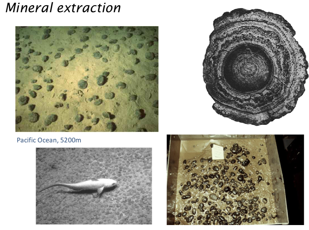 <ul><li><p>Billion tonnes of manganese nodules searched and extracted</p></li><li><p>Removing nodules affects<strong> community structure</strong></p></li></ul><p>→ sediment washed, leaving nodules only to collect</p><img src="https://assets.knowt.com/user-attachments/410d4c13-145c-40dc-b042-f0f5d31c8022.png" data-width="100%" data-align="center"><p></p>