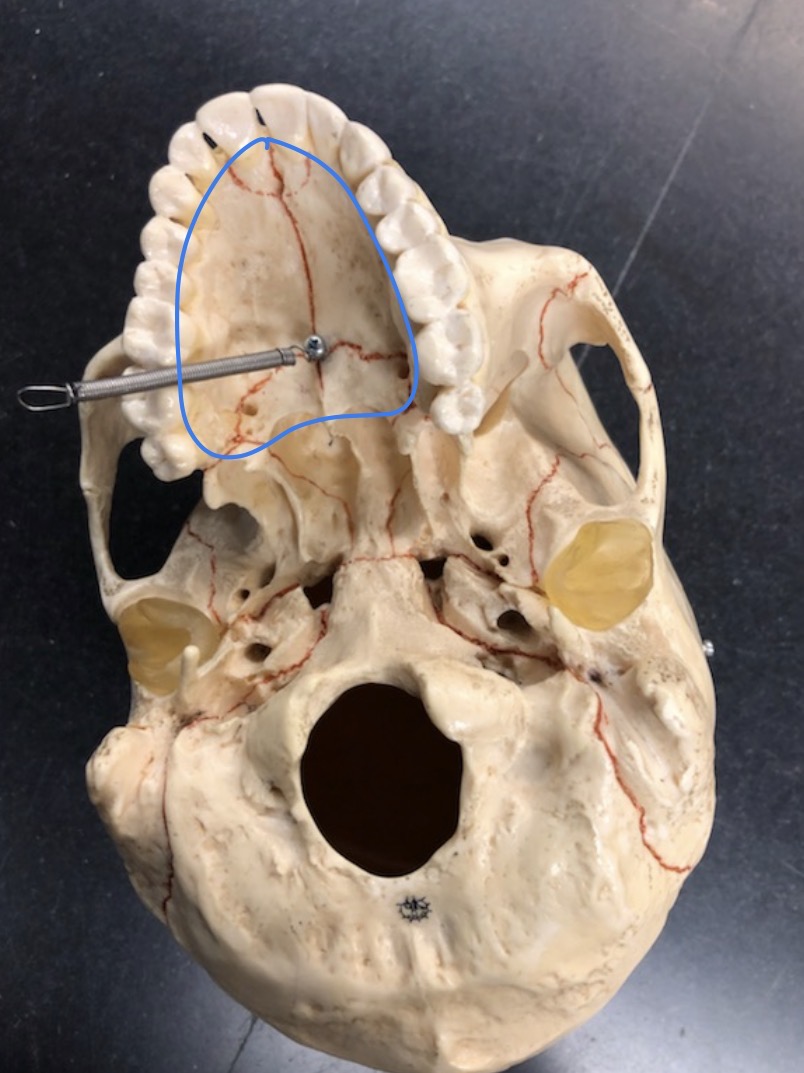 <p>what is this STRUCTURE?</p>
