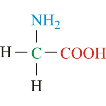 <p>Gly (Non-polar) G</p>