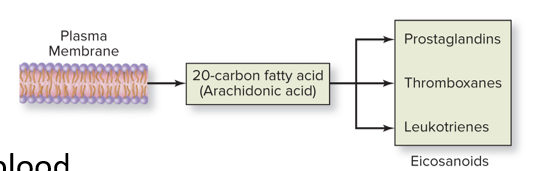 <p>hormones not secreted into the bloodstream, but instead into surrounding tissue</p><ul><li><p>Example: Eicosanoids</p></li></ul><p></p>