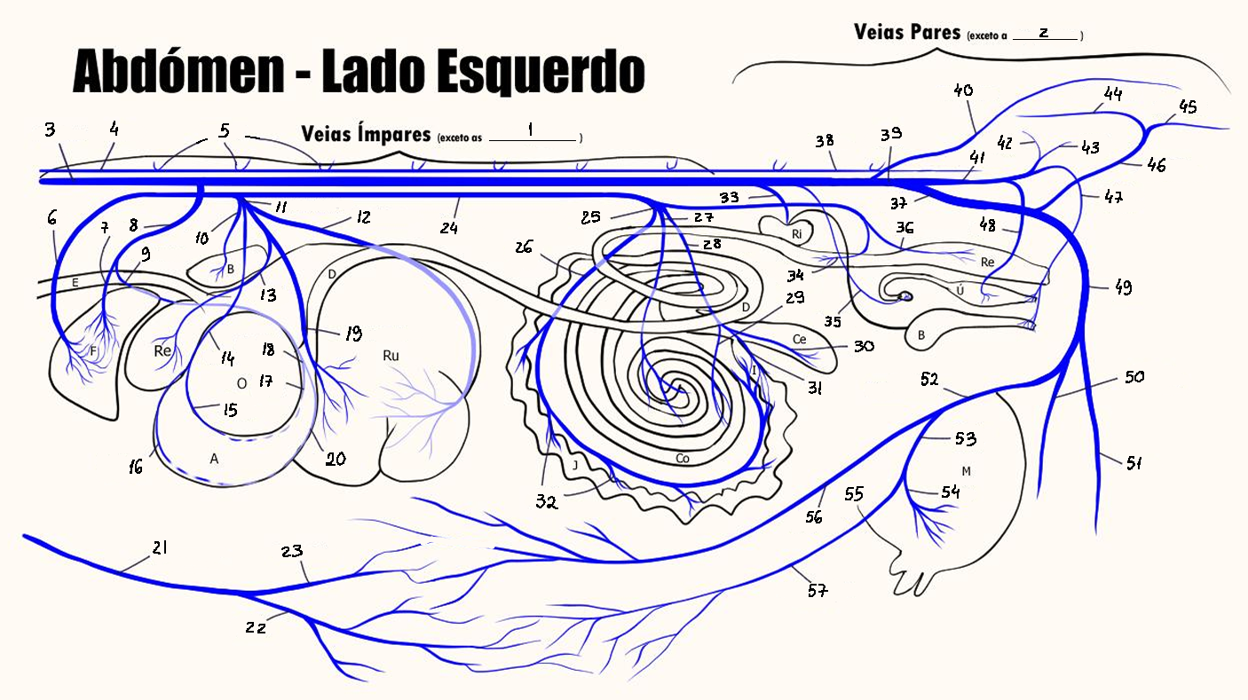 <p>2</p>