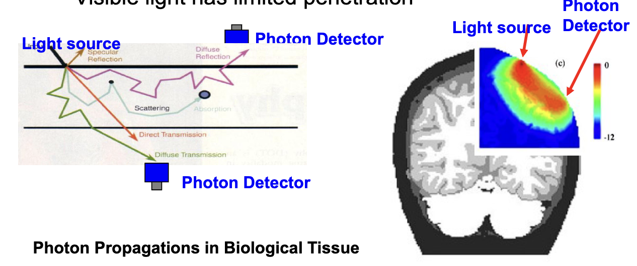 <ul><li><p>capable of penetrating tissue</p></li><li><p>all imaging techniques (except nuclear imaging) require energy-tissue interaction</p></li><li><p>visible light has limited penetration</p></li></ul><p></p>