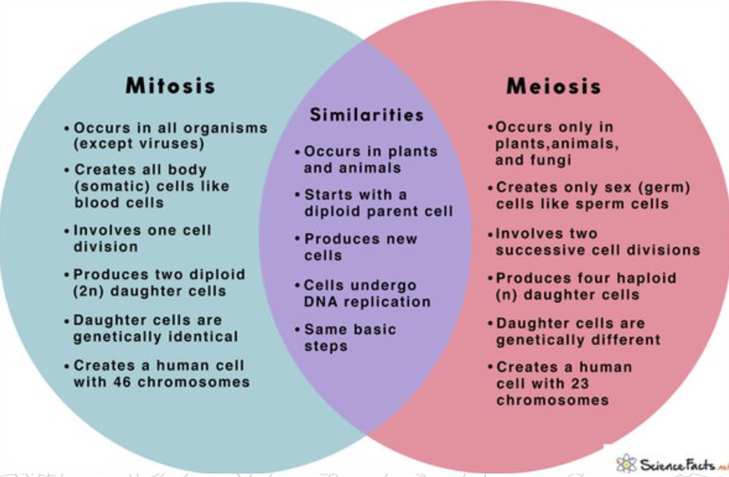 <ul><li><p>mitosis // meiosis </p></li><li><p>all organisms (except viruses) // occurs in only plants, animals, fungi </p></li><li><p>creates somatic cells // creates gametes </p></li><li><p>1 division // 2 divisions </p></li><li><p>two diploid daughter cells / 4 haploid daughter cells </p></li><li><p>daughter cells = genetically identical / genetically different </p></li><li><p>human cell with 46 chromosomes // 23 chromosomes </p></li></ul><p></p>