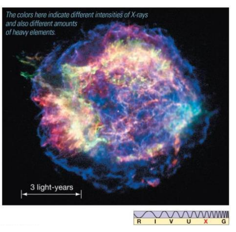 <ul><li><p>debris field of scatter hot gasses from a star</p></li></ul><p></p>