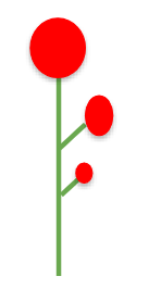 <p>the first flower to bloom is at the top</p>