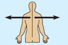 <ul><li><p>Away from the midline of the body</p></li><li><p>On the outer side of </p></li><li><p>The arms are lateral to the chest</p></li></ul><p></p>