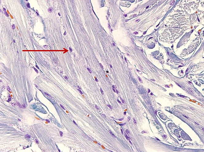 <p>Cấu trúc gì ?</p>