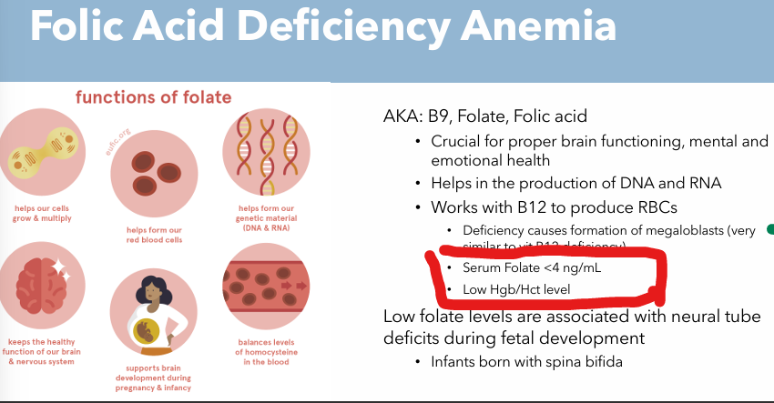 <ul><li><p>Serum Folate <4 ng/mL</p></li><li><p>Low Hgb/Hct level</p></li></ul><p></p>