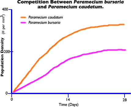 <p>both species cooperate and gain an advantage (+/+), pollinators</p>