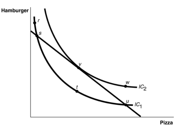 <p>Refer to the figure. The consumer can afford consumption bundles? </p>