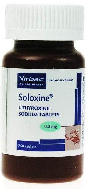 <p>Thyroxine medications </p>