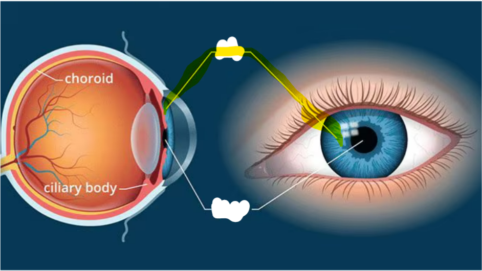 <p>What is highlighted </p>