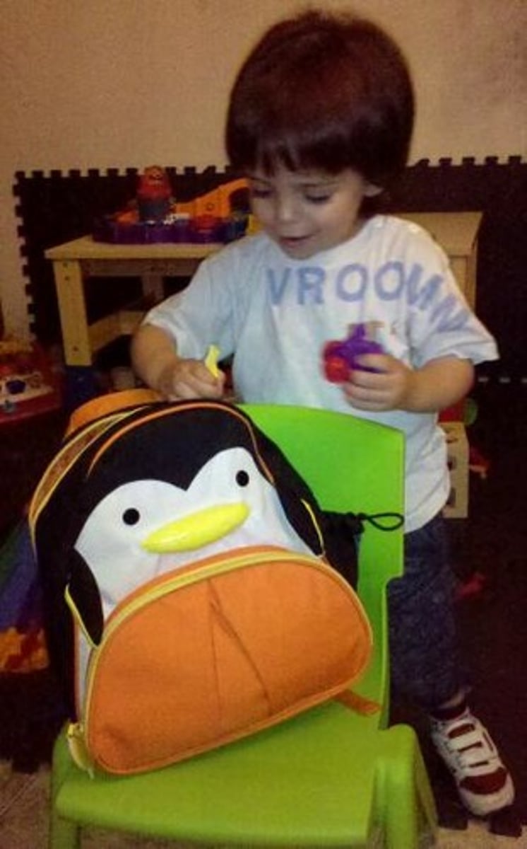<p>the bagpack</p>