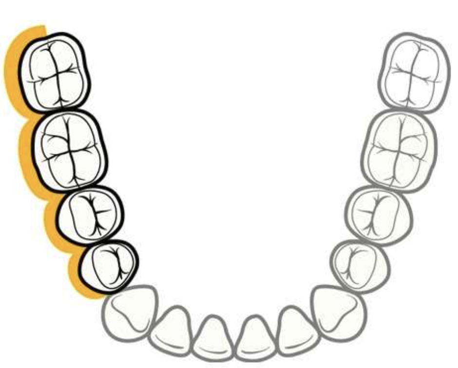 <p>Which aspect is this image highlighting?</p>