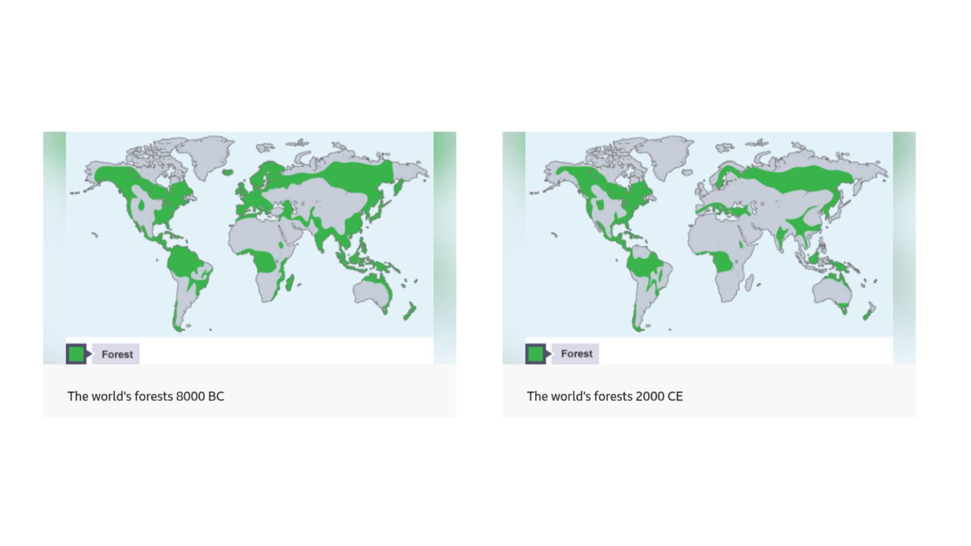 <p>What is deforestation?</p>