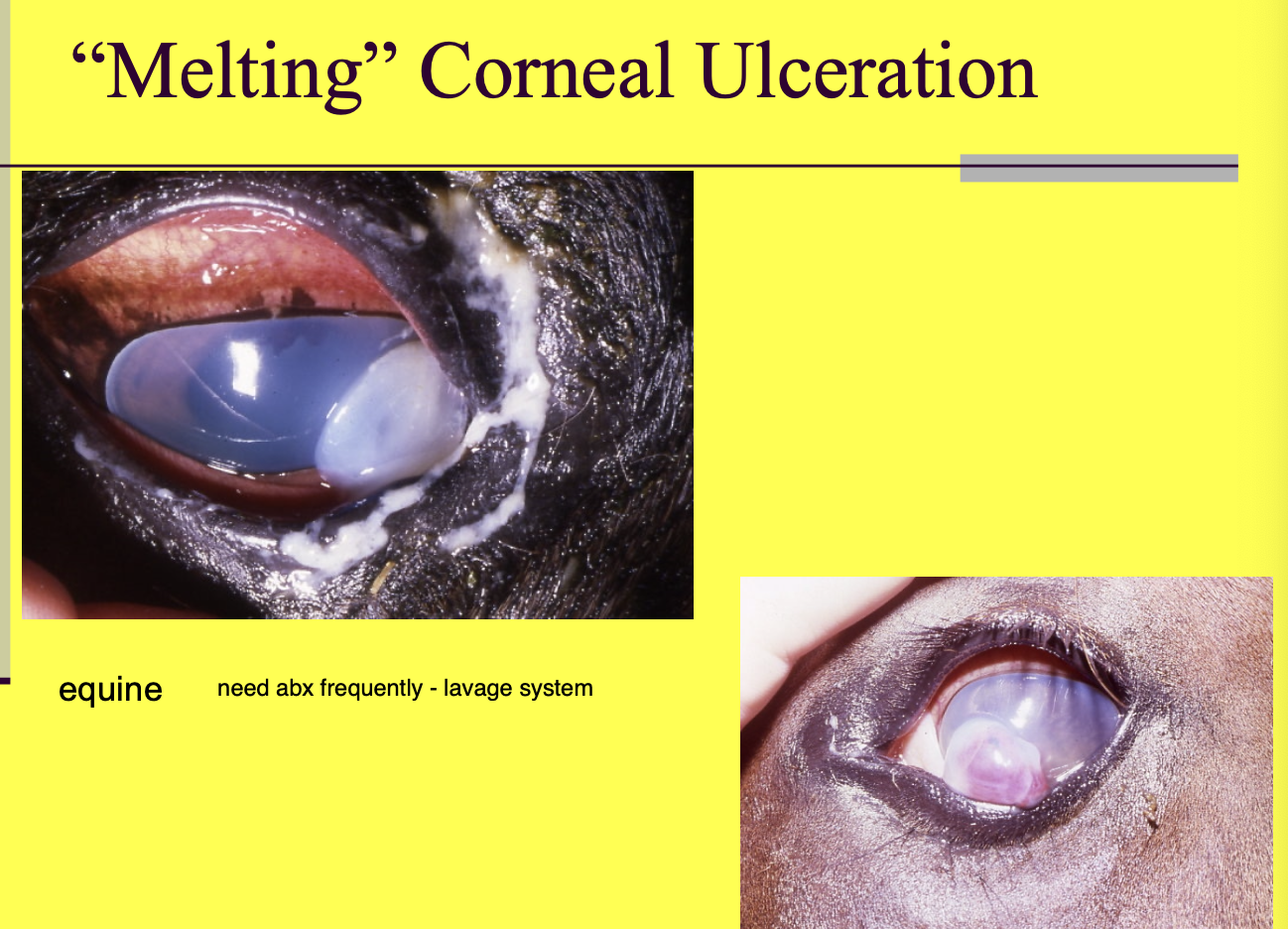 <p>hospitalization, very frequent tx, monitoring.</p>