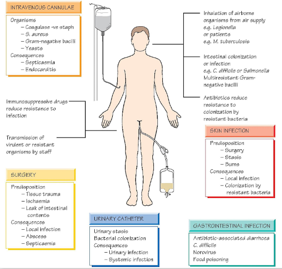 <p>Healthcare-associated (nosocomial) infections</p>