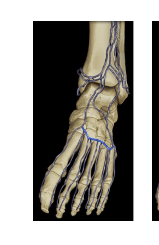 <p>what is this </p>