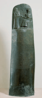 term image