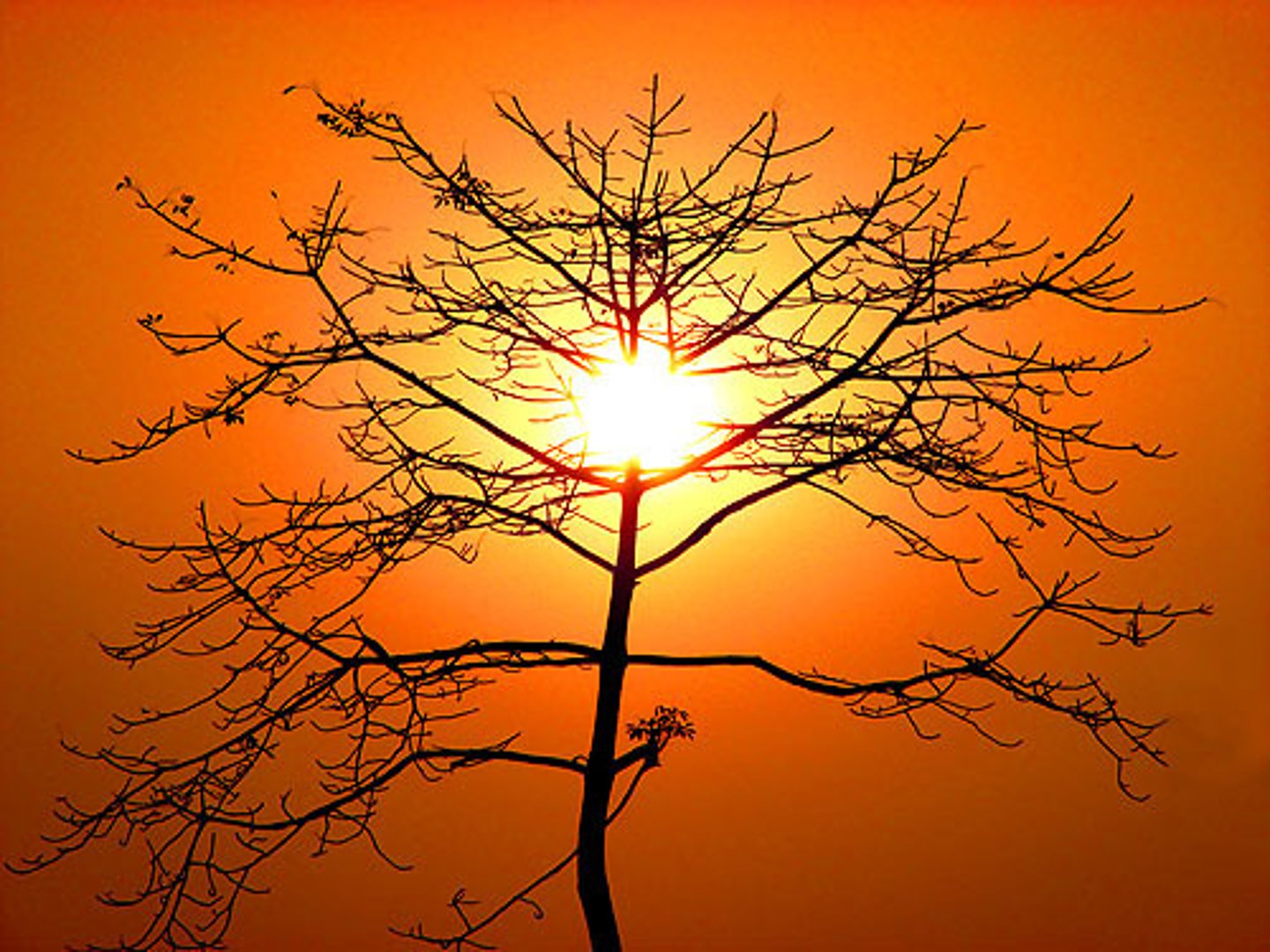 <p>concerned with beauty or the appreciation of beauty.</p>