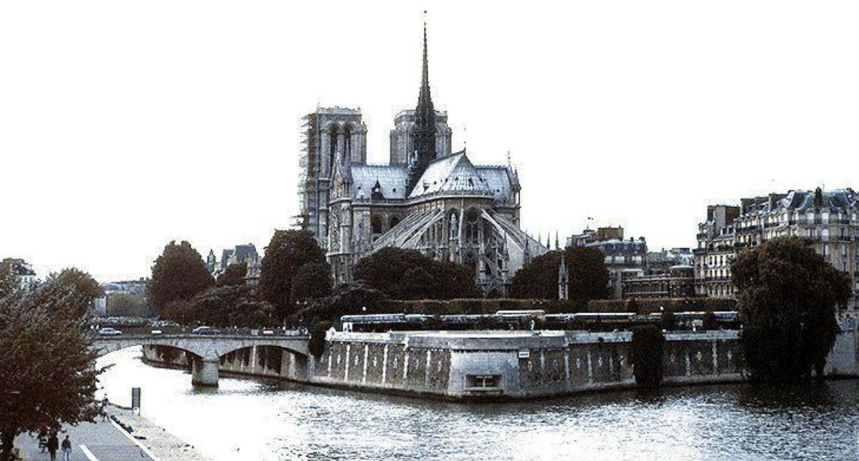 term image