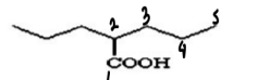 <p>2-propylPentanoic acid </p><ul><li><p>like many <strong>aliphatic carboxylic acids</strong>, is active against <strong>absence seizures</strong>, <strong>but crosses the blood-brain barrier poorly</strong></p></li></ul><p></p>