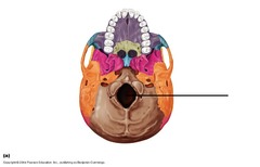 <p>Identify this part.</p>