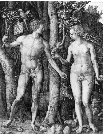 <p>Albrecht Dürer, 1504, engraving </p><p>-A breakthrough in engraving and printmaking technique</p><p>A synthesis of classical ideals and Northern realism</p><p>A complex mix of religious meaning and scientific observation</p><p>The rise of printmaking as a major artistic medium in Europe</p>