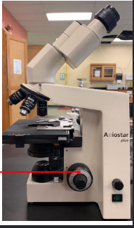 <p>name this part of the microscope and function</p>
