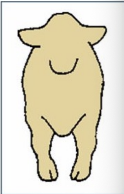 <p>legs go out at the knees and in at the toes</p>