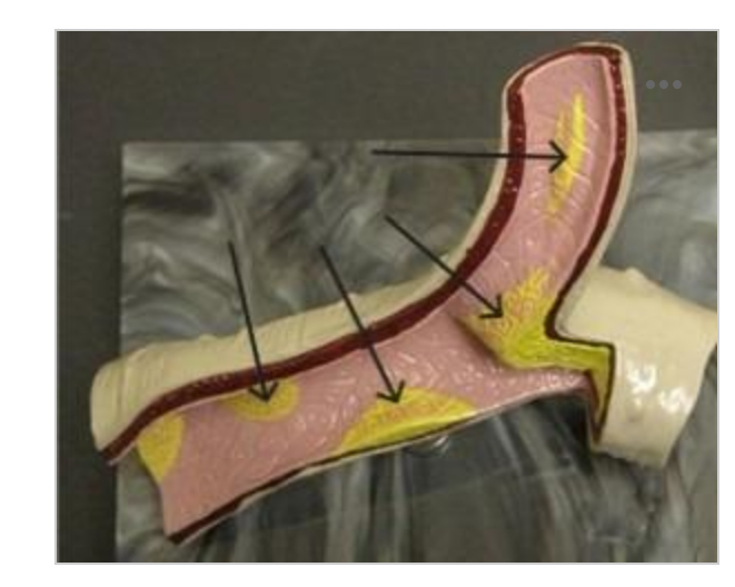 <p>what are the arrows pointing too </p>