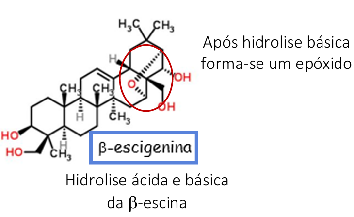<p>forma-se a beta escigenina + 2 glucpses + 1 ac glucoronico + acido acetico + acido acetico</p>