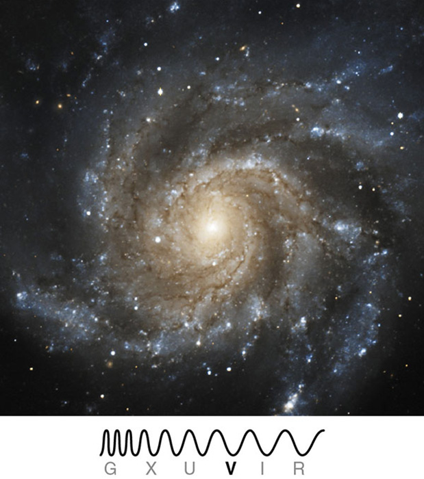 <p>Identify which type of galaxy is represented in the image</p>
