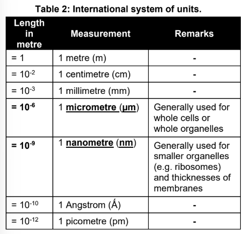 <p>The size (diameter) of cells and subcellular organelles are usually expressed in micrometres or nanometers'</p><p></p><p>Lower limit of cell size:</p><ul><li><p>It is determined by the minimum amount of space needed to contain the essential elements of its function</p></li></ul><p></p><p>Upper limit of cell size:</p><ul><li><p>It is determined by the surface area: volume ratio needed for exchange of materials between the cell and its environment.</p></li><li><p>As the size of the cell increases, the surface area to volume ratio decreases</p></li><li><p>The number of chemical exchanges that could be performed with the extracellular environment would be inadequate to maintain the cell, because most of its cytoplasm is relatively far from the outer membrane. Exchange with the extracellular environment is vital as substances like oxygen and nutrients can only enter the cell, and waste products can only leave, in this fashion.</p></li></ul><ul><li><p>Cell size is thus kept small and hence increase in organism size is accomplished by having a greater number of cells.</p></li></ul><p></p>
