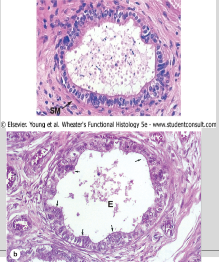 <p>What is this?</p>