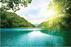 <p>Rivers with various fish species and aquatic plants.</p>