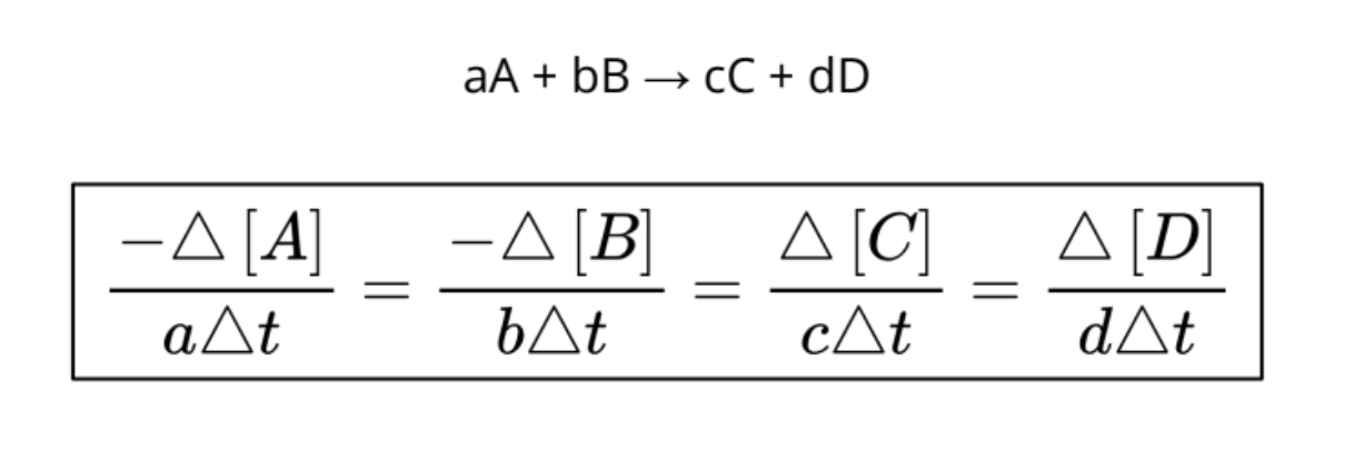 <p>What are all the terms in this called? </p>