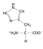 <p>CH2 — C — N == CH — NH — CH == C</p>