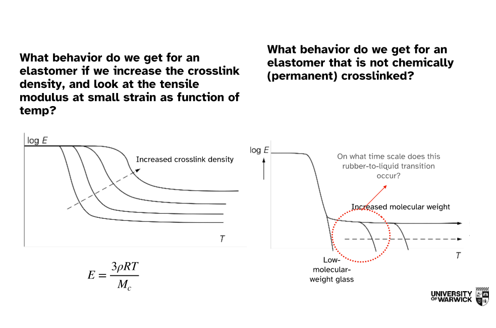 <p>Compare chemically crosslinked and non-crosslinked elastomers.</p>