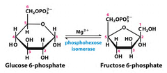 <p>- Classified as isomerization (I) and Near-Equilibrium</p>